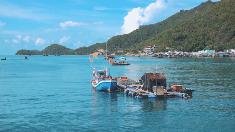 Góc nhìn trưa nay | Nuôi cá lồng bè giữa ngàn khơi