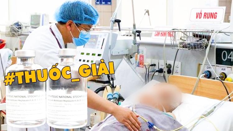 Video: Có thuốc giải độc liên quan đến vụ patê Minh Chay, giá hàng ngàn USD một lọ