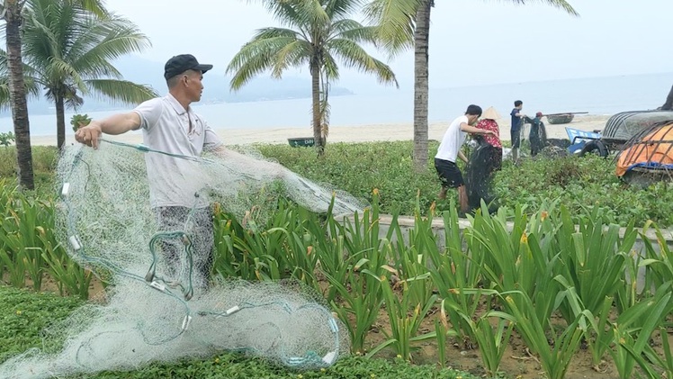 Video: Người dân Đà Nẵng khẩn trương chống bão số 5