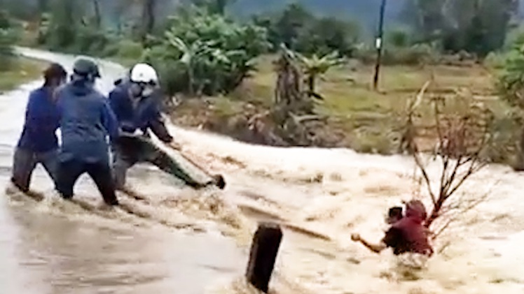 Video: Giải cứu người phụ nữ bám gốc cây giữa dòng nước lũ cuồn cuộn