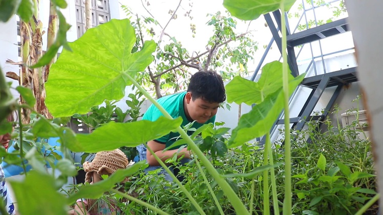Góc nhìn trưa nay | Độc đáo vườn cây trên sân thượng 25m2