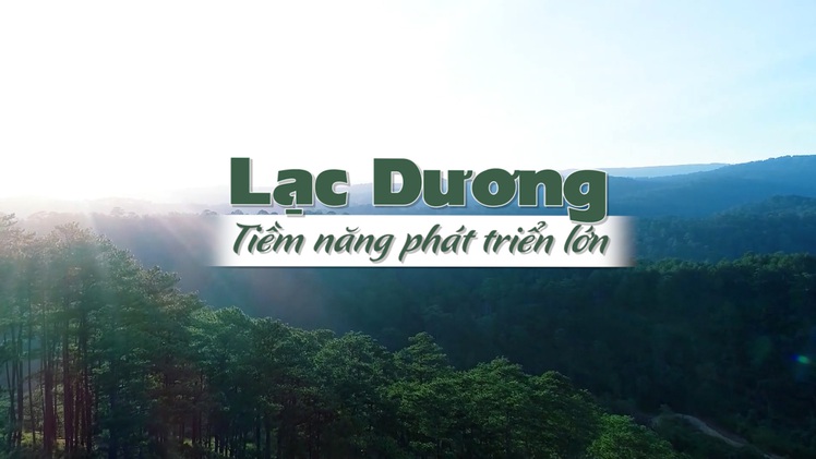 Góc nhìn trưa nay | Không phá rừng, nhà đầu tư sẽ được tạo nhiều điều kiện để phát triển