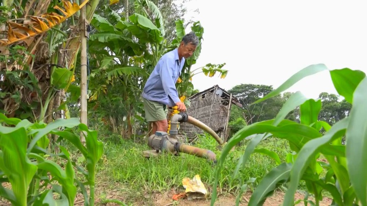 Góc nhìn trưa nay | Bất cập khai thác nước ngầm vùng cù lao