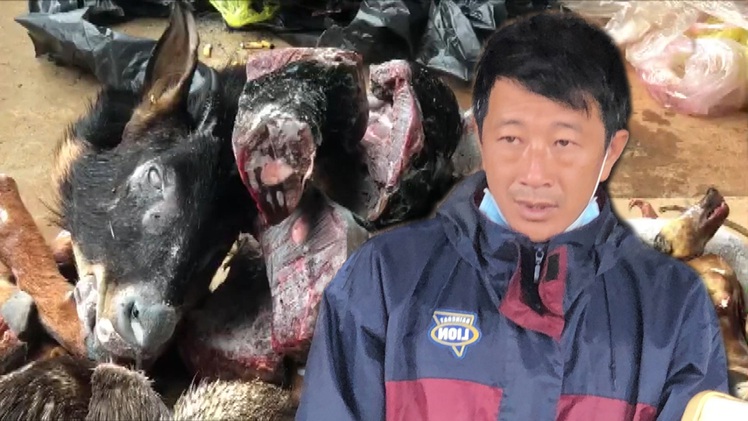 Video: Bắt người chất kín xác thú rừng trong 3 tủ cấp đông