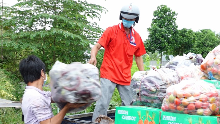 Video: Chủ vựa rau ở Sa Đéc chi gần 1 tỉ đồng mua hơn 150 tấn rau, củ tặng bà con