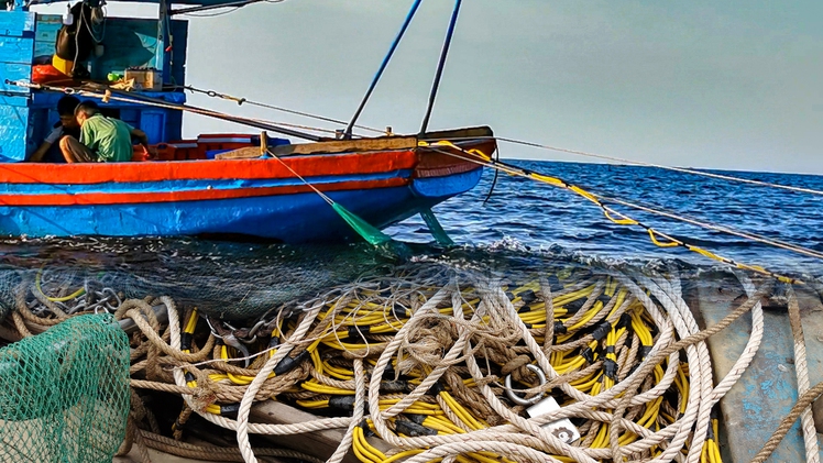 Góc nhìn trưa nay | Những con ‘tàu ma’ hủy diệt bất cứ sinh vật nào bị quét qua