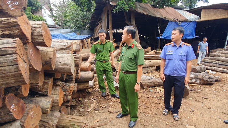 Video: Phát hiện trên 60m3 gỗ lậu quý hiếm giữa lòng thành phố