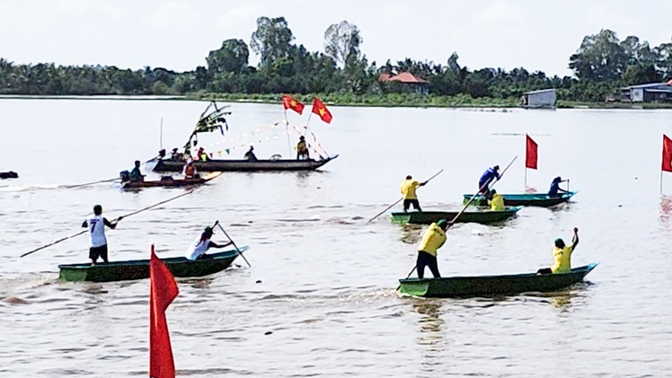 Vui nhộn đua xuồng trên cánh đồng xả lũ An Giang