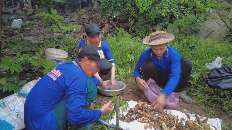 Góc nhìn trưa nay | Mùa mưa, lên núi hái 'lộc trời'