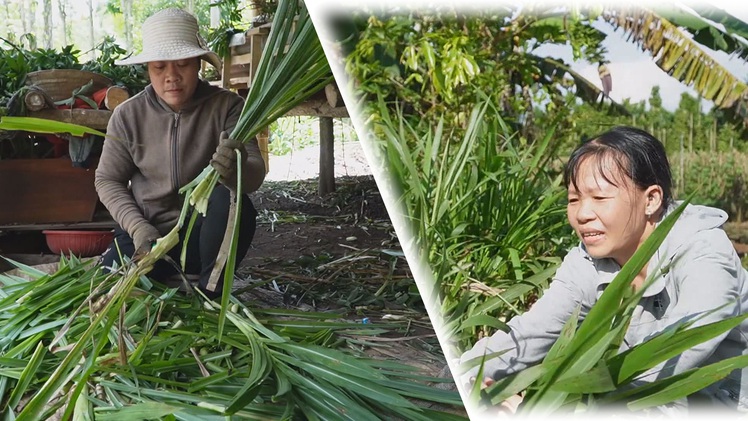 Hy vọng nhóm lên từ những vùng quê nghèo khó