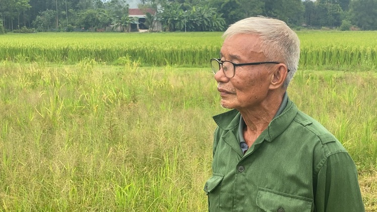 Ớn lạnh vụ mảnh ruộng bị cắm chông sắt, một lão nông kêu cứu, công an đang vào cuộc