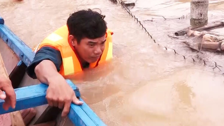 Quảng Ngãi mưa khắp tỉnh, lũ trên sông Trà Câu lên nhanh, nhiều nơi ngập gần tới cổ