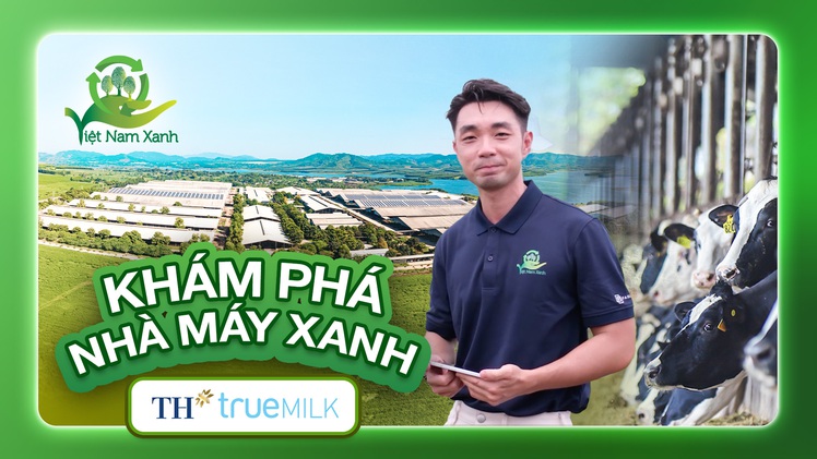 Khám phá cụm trang trại xanh TH true MILK: Từ đồng cỏ xanh đến ly sữa sạch