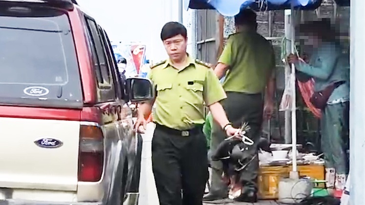 Xử lý người bày bán chim trời ở TP.HCM