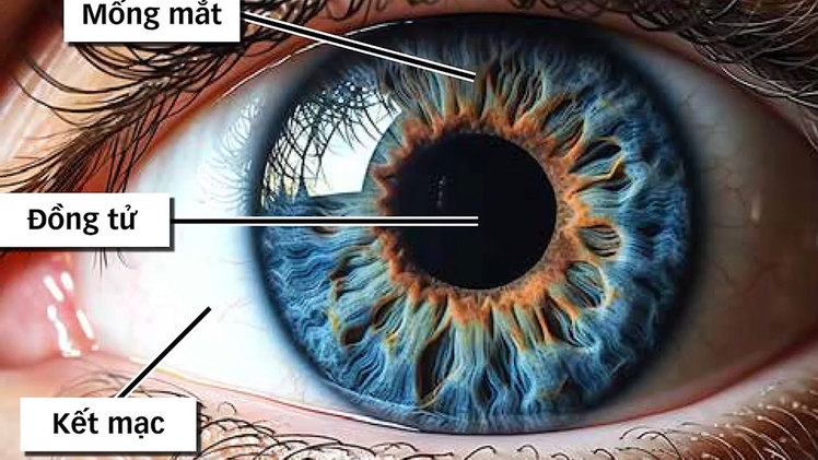 Từ ngày 1-7 sẽ thu thập mống mắt, ADN và giọng nói để làm thẻ căn cước