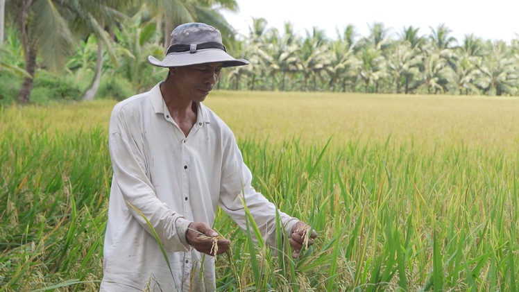 Vì sao Trà Vinh không sợ hạn mặn?