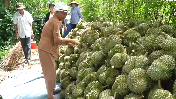 Cần làm gì để thị trường Trung Quốc chấp nhận ăn sầu riêng Việt Nam lâu dài?