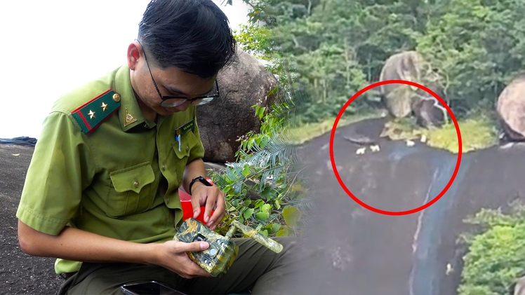Toàn cảnh khu vực người dân nói thấy 'khỉ trắng', kiểm lâm đang đặt bẫy ảnh xác minh