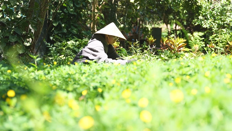 Không cùng huyết thống, nhưng cùng chung nhịp đập của yêu thương