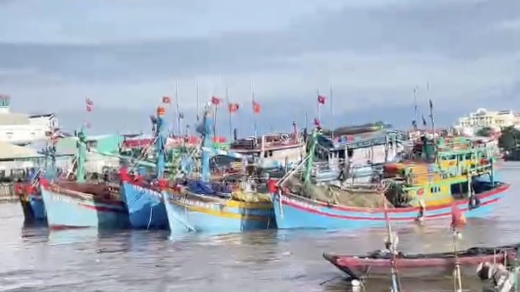 Đưa vào bờ an toàn 7 tàu cá bị mưa lũ cuốn trôi tại cửa biển Phan Thiết
