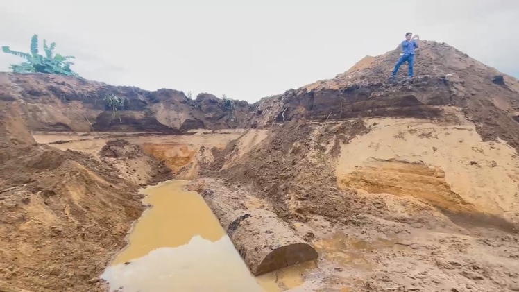 Nhiều khúc gỗ đường kính cả mét lộ ra sau sạt lở bờ sông ở Gia Lai