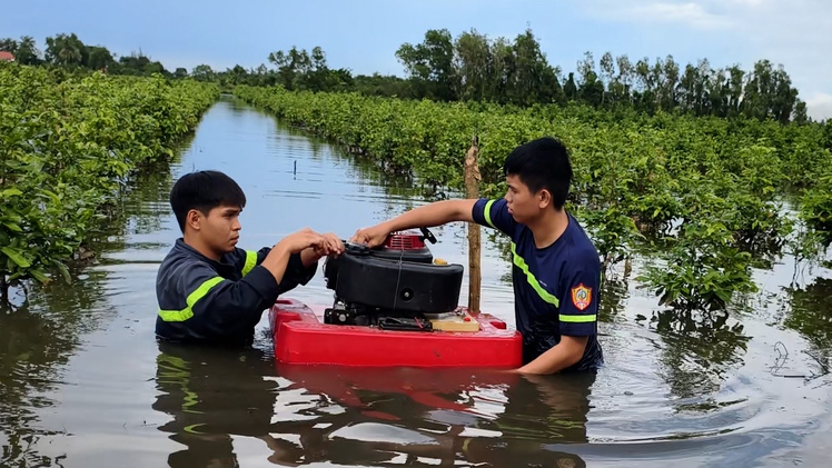 Bơm nước cứu hàng chục hecta mai vàng bị ngập ở xã Bình Lợi, TP.HCM