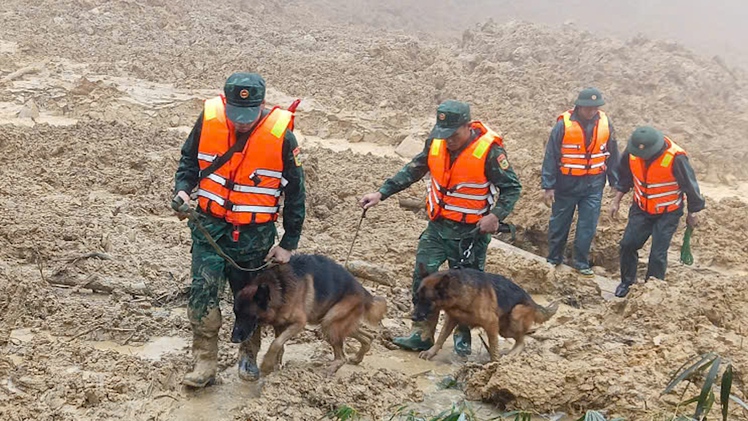 Cảnh khuyển, UAV được huy động tìm kiếm nạn nhân vụ sạt lở núi ở Đà Nẵng