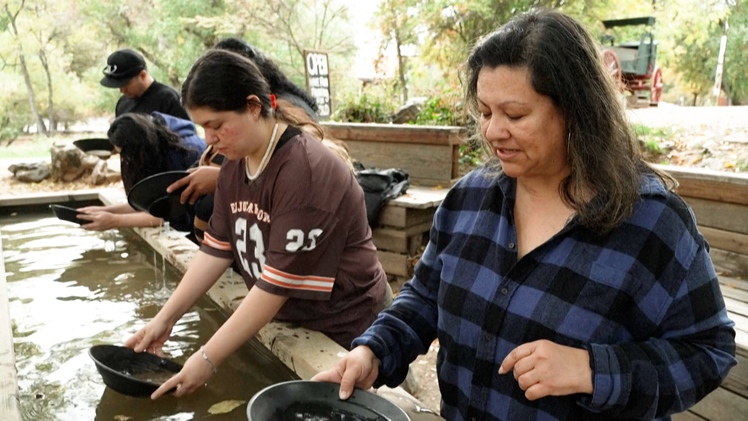 Nhiều người đổ xô tìm vàng tại California khiến cuốc chim, máy dò kim loại cũng... cháy hàng