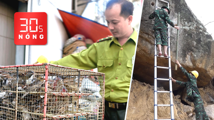 Bản tin 30s nóng: Tạm giữ cả ngàn con chim bán ở lề đường; Dùng thuốc nổ thông đèo Khánh Lê