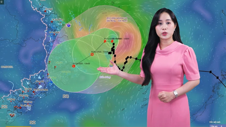 Thời tiết đêm 30-11 ngày 1-12: Bão số 15 giảm cấp, tiếp tục suy yếu thêm