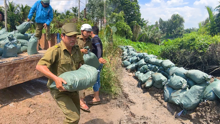 Gia cố bờ rạch ứng phó triều cường tại xã Đông Thạnh, TP.HCM