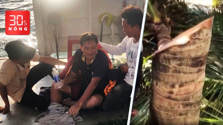 Bản tin 30s Nóng: Người sống sót kể lại hai ngày trôi dạt trên biển Lý Sơn; Tôn bay cắt đôi cây dừa?