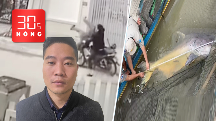 Bản tin 30s nóng: Tạm giữ 1 nghi can vụ đánh người sau tông xe; Thả cá 100kg về Biển Hồ