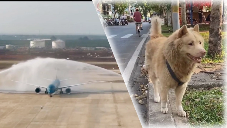 Góc nhìn trưa nay: Chuyến bay thử nghiệm đầu tiên hạ cánh an toàn tại sân bay Long Thành; Siết chặt quản lý vật nuôi