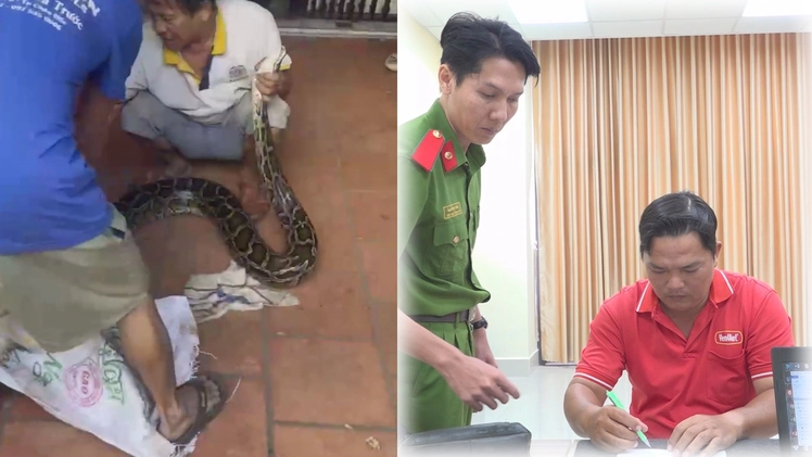 Góc nhìn trưa nay: Bắt được trăn ‘khủng’ bò vào nhà; Cán bộ ngân hàng làm giả hợp đồng vay tín dụng