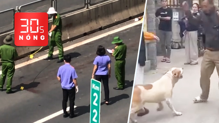 Bản tin 30s nóng: Điều tra vụ thi thể không nguyên vẹn trên cao tốc; Xác minh clip xua chó cắn người