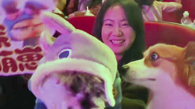 Trào lưu xem phim cùng thú cưng ở Trung Quốc, rạp phim chuẩn bị cả tã và khăn ướt cho chó mèo