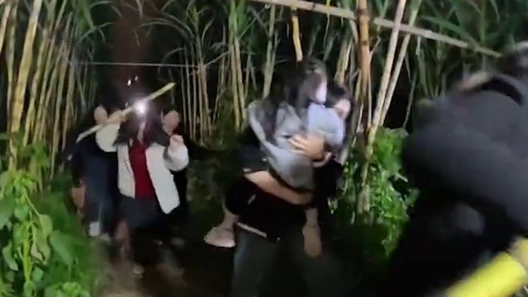 Độc lạ Trung Quốc: Du khách trả tiền để được… trộm mía