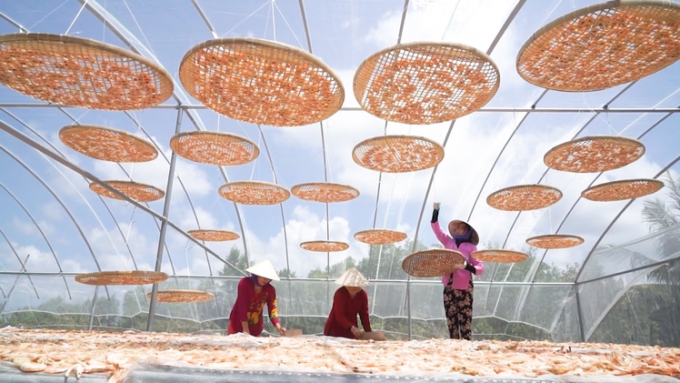 Làng nghề tôm khô Cà Mau rộn ràng vào vụ Tết