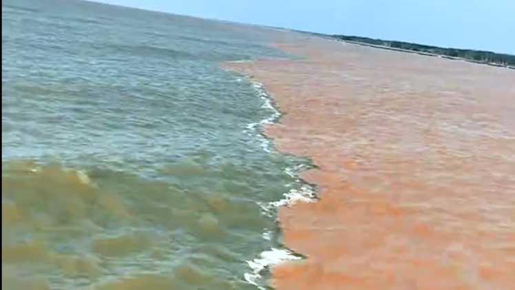 'Nước biển 2 màu' kéo dài hàng chục cây số ở Cà Mau gây sốt mạng xã hội