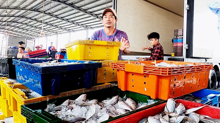 Góc nhìn trưa nay: Ngư dân Cà Mau ‘trúng lộc’ từ những chuyến biển xuyên Tết