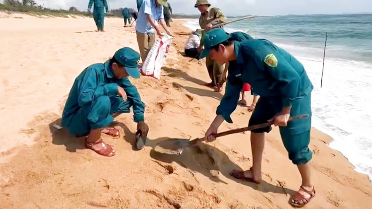 Dầu vón cục dạt vào bãi tắm ở Tuy Hòa, đã thu gom được 200kg dọc 3km bờ biển
