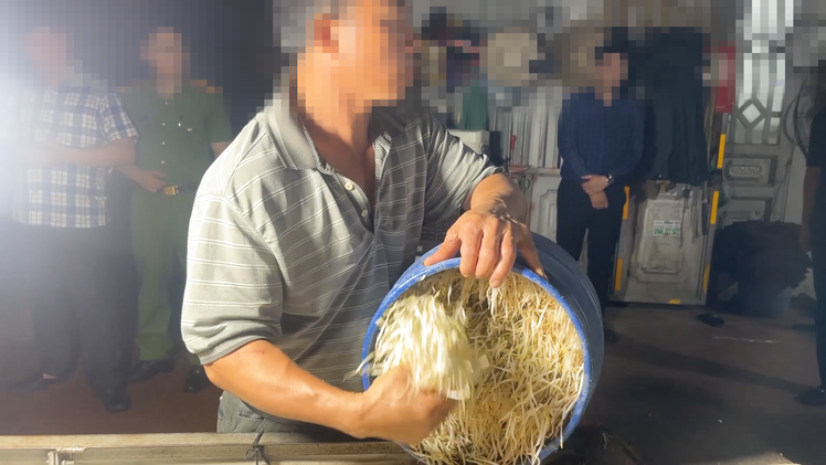 Điều tra 2 cơ sở sản xuất 348 tấn giá đỗ 'ngậm' hóa chất độc hại ở Lào Cai