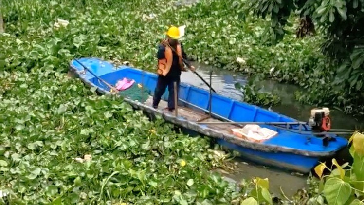 Mỗi ngày vớt gần 9 tấn lục bình để làm sạch kênh Nhiêu Lộc - Thị Nghè