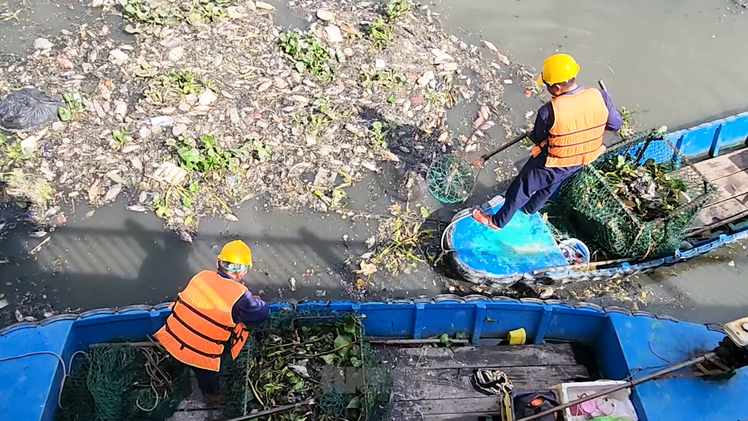 Công nhân môi trường tất bật thu gom cá chết nổi trắng trên kênh Nhiêu Lộc - Thị Nghè