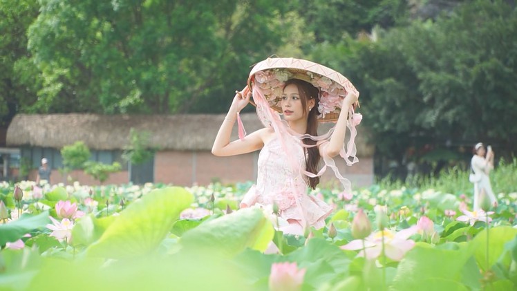 Góc nhìn trưa nay | Về Ninh Bình ngắm mùa sen nở đẹp mê đắm lòng người