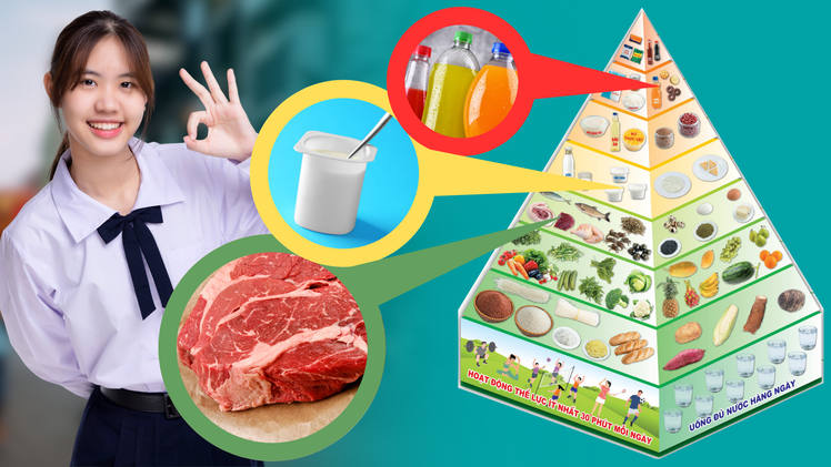 Cách đọc hiểu tháp dinh dưỡng của người Việt Nam theo từng nhóm tuổi