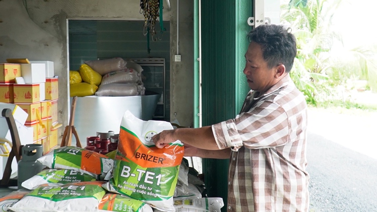 Sập bẫy lúa giống giả, nhiều nông dân ở Cà Mau trắng tay, nợ 'đầm đìa'