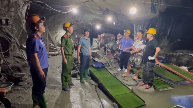 Cảnh sát Sơn La xuyên đêm bắt gần 60 'vàng tặc' trong rừng sâu