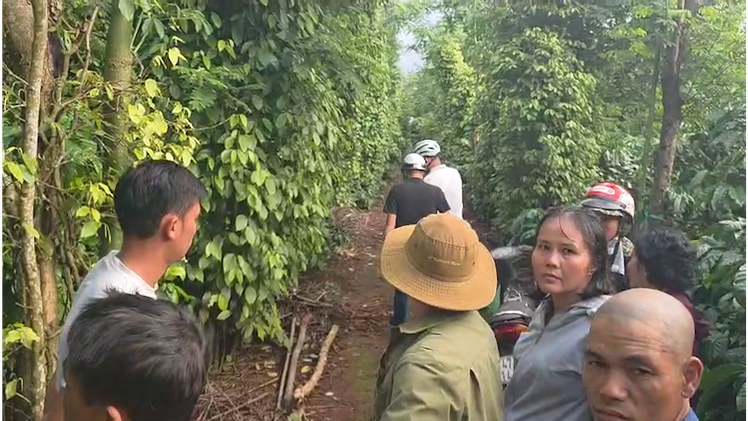 Người phụ nữ bị sát hại tại nhà nghỉ: Nghi phạm trốn vào rẫy cà phê uống thuốc độc, đã chết